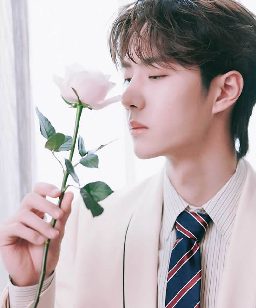 王一博微博超話等級(王一博辟謠戀情)